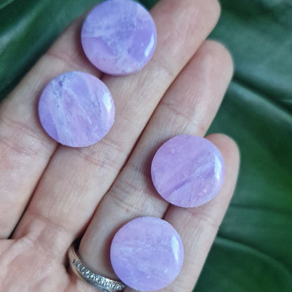 Faux Lavender Amethyst Plugs
