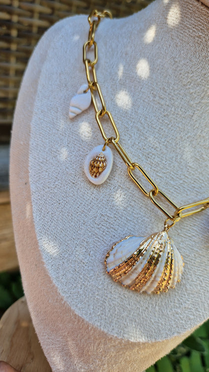 Treasures of the Sea