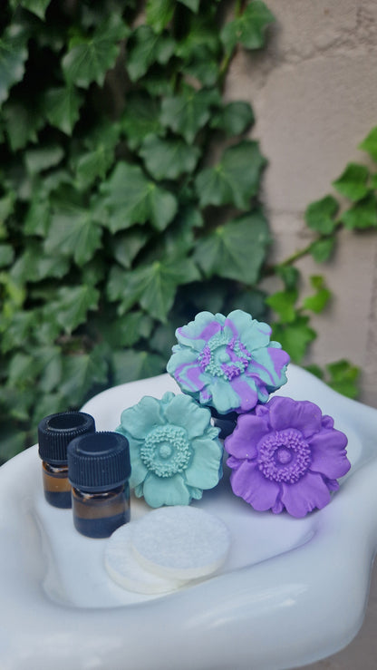 SAGE Autodiffusor