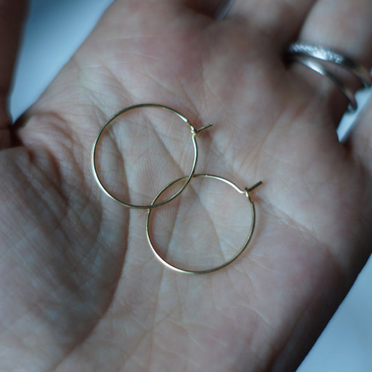 Stainless Steel Earring Hoops