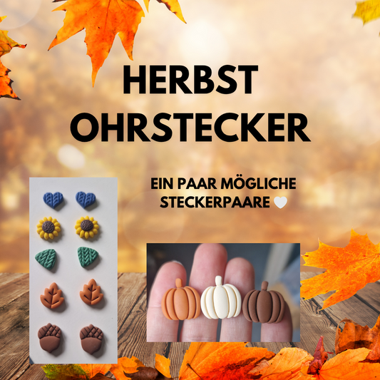 Mystery Autumn Studs